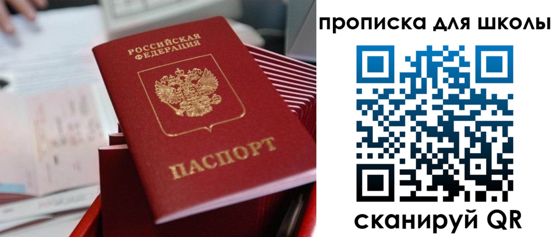 прописка для школы в Купино